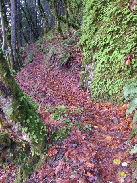 11.27.05 Nesmith Point 024 